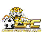 Cooma Tigers FC logo