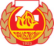 Znicz Pruszków U19 logo