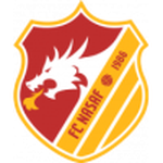 Nasaf logo