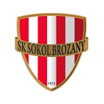 Sokol Brozany logo
